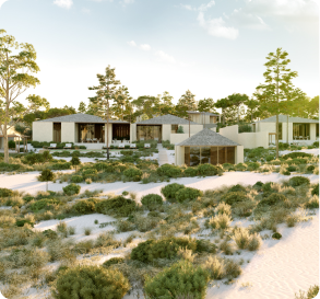 Left development image