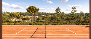 Right top development image